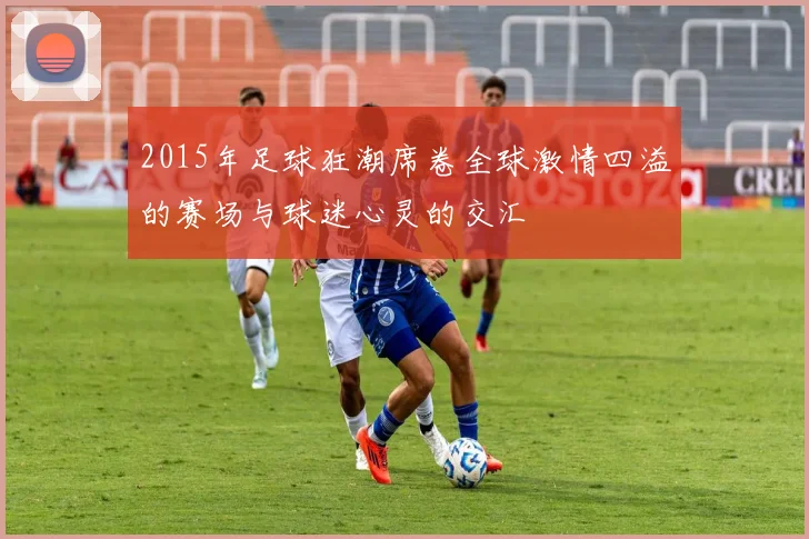 2015年足球狂潮席卷全球激情四溢的赛场与球迷心灵的交汇
