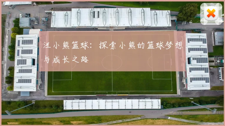 汪小熊篮球：探索小熊的篮球梦想与成长之路